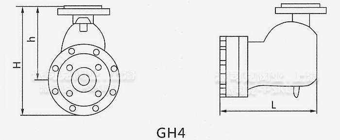 GH4ܗUʽˮyߴD